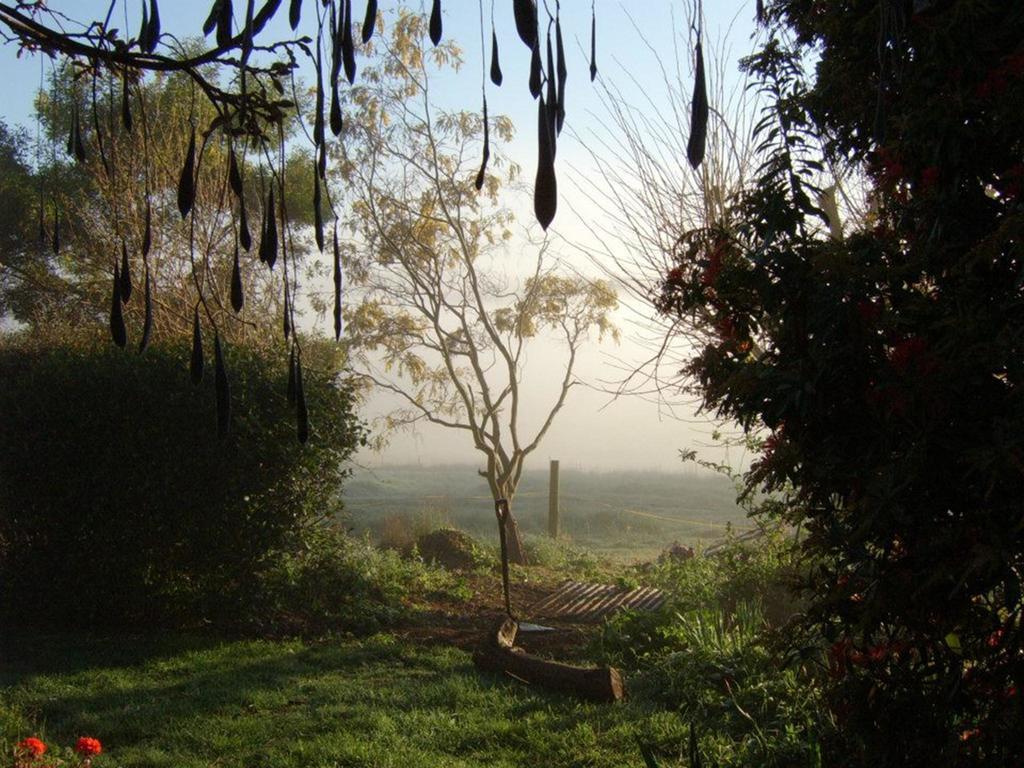 Plovers Ridge Country Retreat Lilydale Quarto foto
